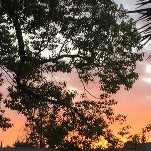 Meet your Posher, Nima